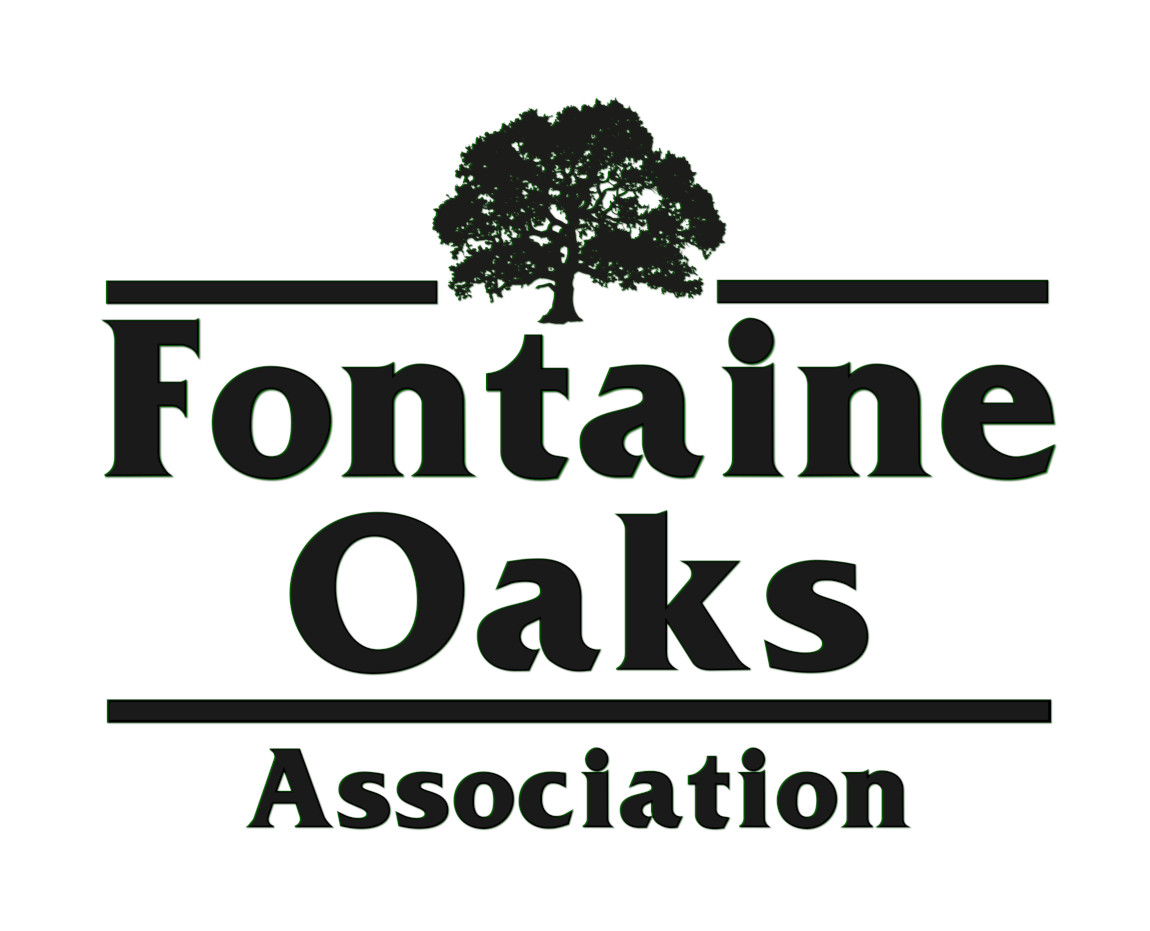 Forensic Reconstruction of Fontaine Oaks Association’s Financial Records
